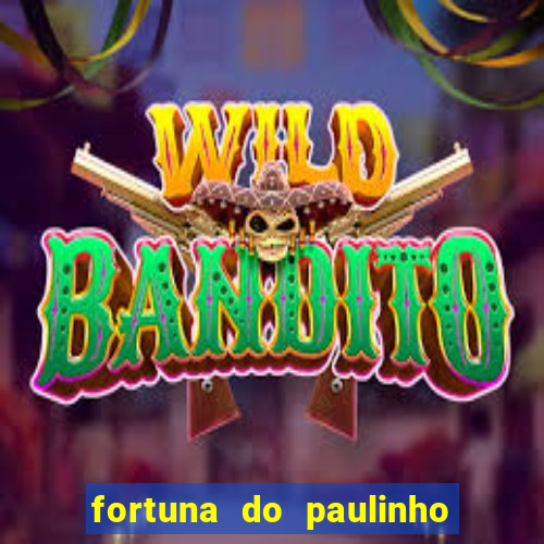 fortuna do paulinho do roupa nova